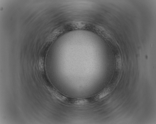 X0000070400274200606231810