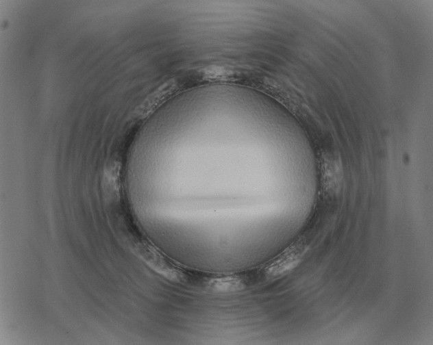 X0000070400275200606231810