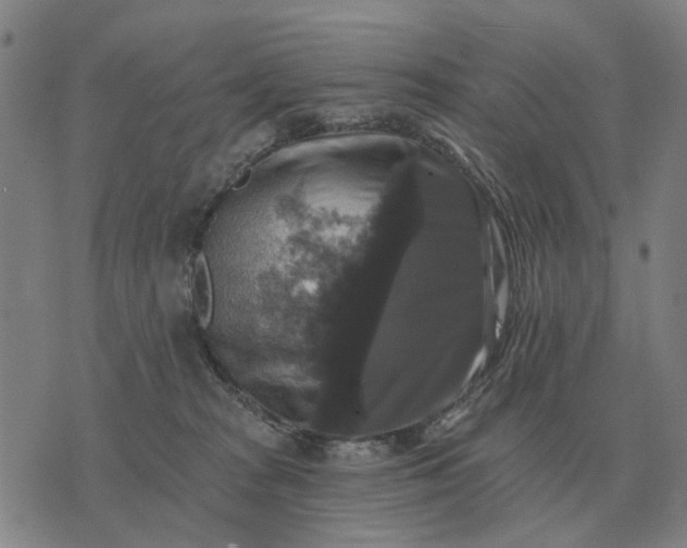 X0000070400277200606231810