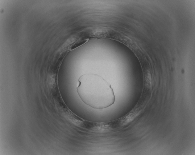 X0000070400278200606231810