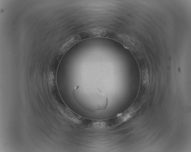 X0000070400279200606231810