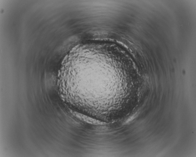 X0000070400281200606231810