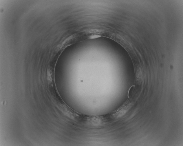 X0000070400282200606231810