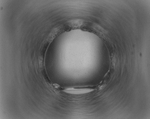 X0000070400283200606231810