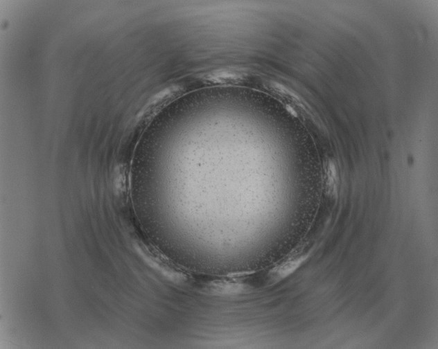 X0000070400284200606231810