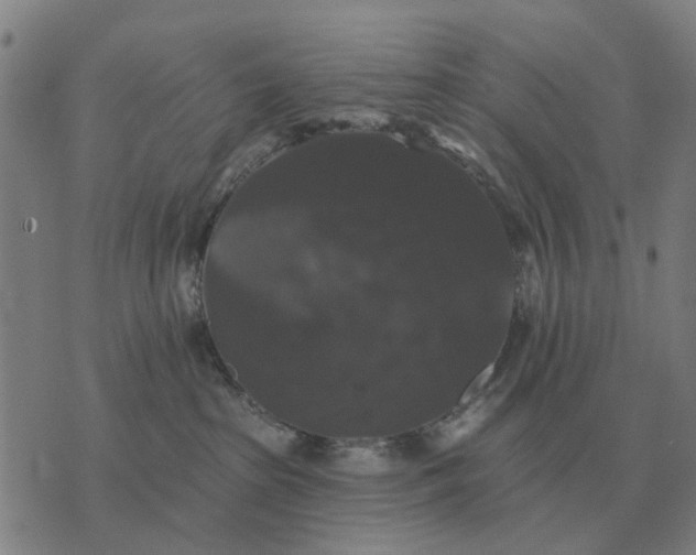 X0000070400285200606231810