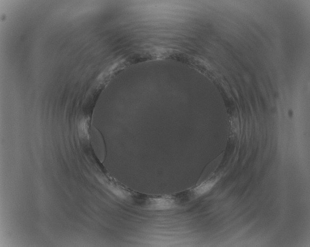 X0000070400286200606231810