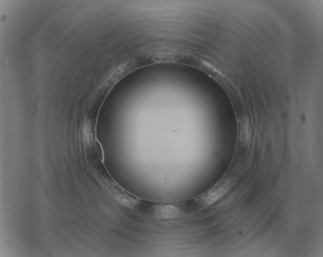 X0000070400287200606231810