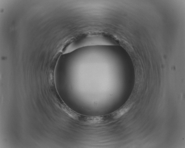 X0000070400288200606231810