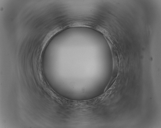 X0000070400289200606231809