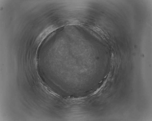 X0000070400290200606231809