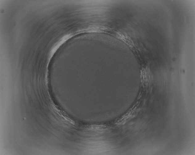 X0000070400292200606231809