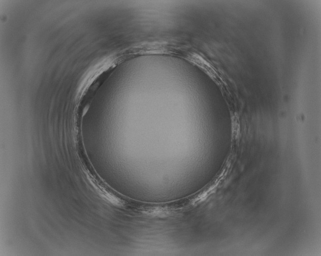 X0000070400293200606231809