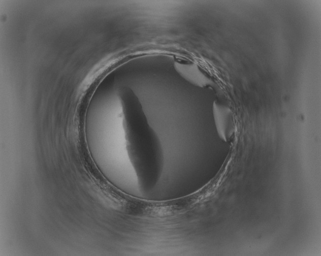 X0000070400295200606231809