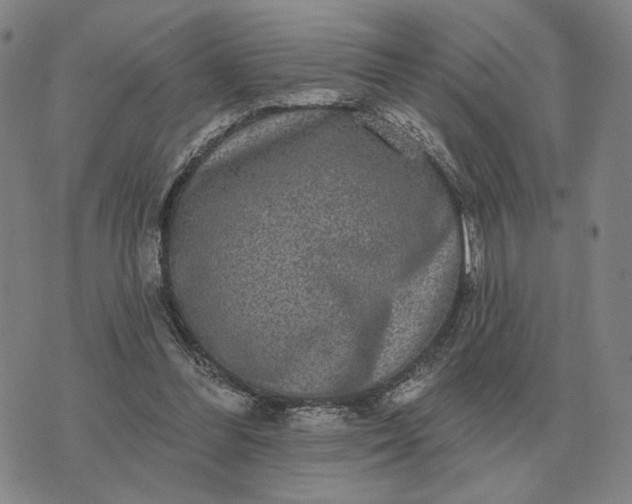 X0000070400300200606231809