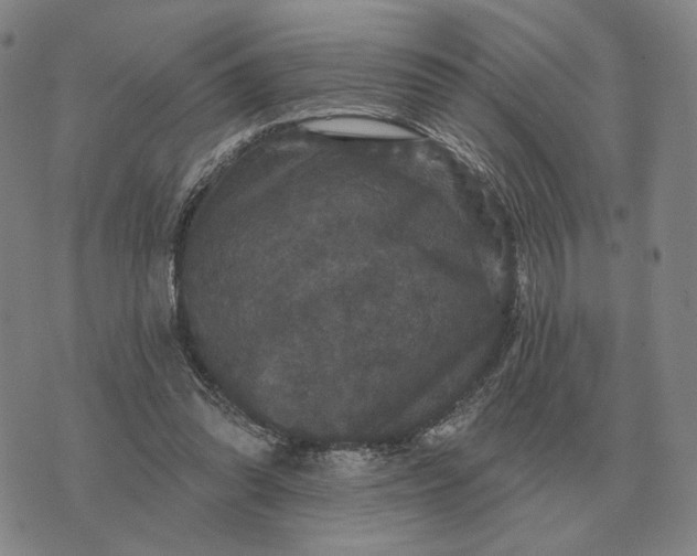 X0000070400302200606231809