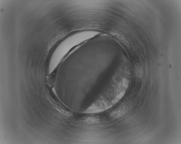 X0000070400303200606231809