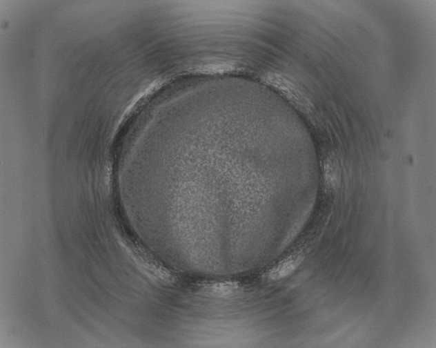 X0000070400304200606231809