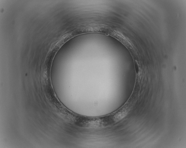 X0000070400306200606231809