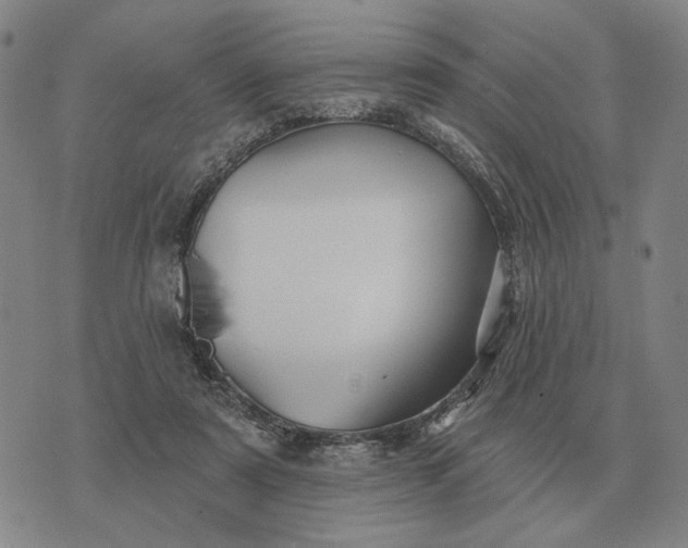 X0000070400307200606231809