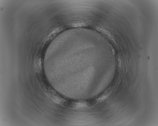 X0000070400308200606231809