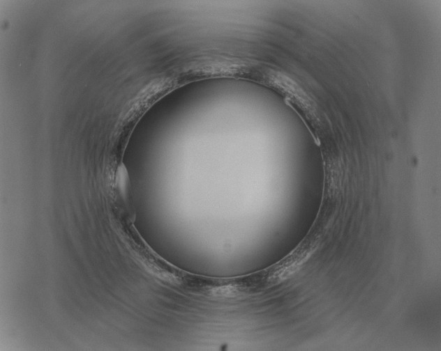 X0000070400309200606231809