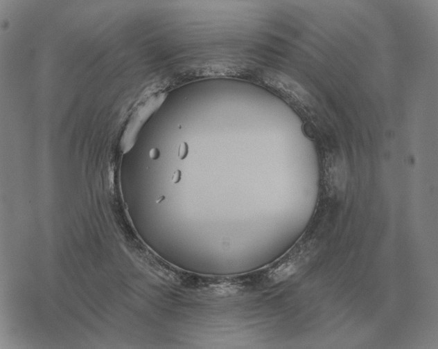 X0000070400310200606231809