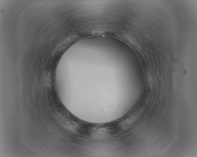 X0000070400311200606231809