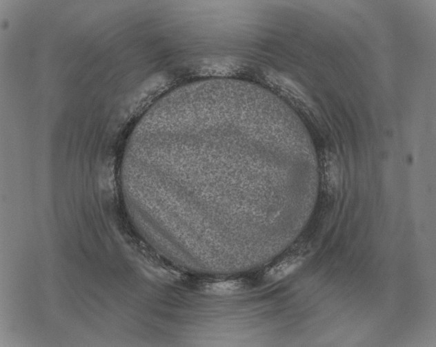 X0000070400312200606231809