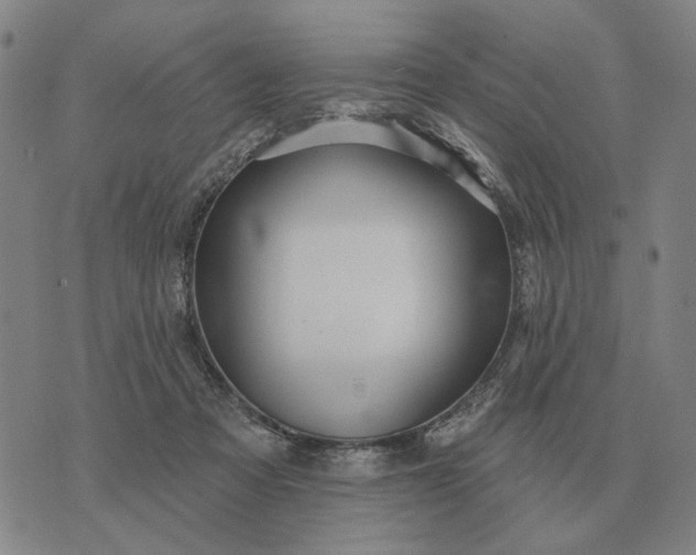 X0000070400313200606231809