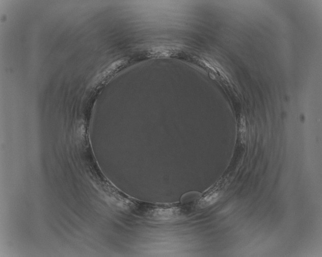 X0000070400314200606231809