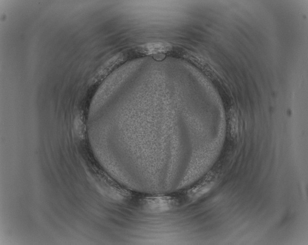 X0000070400316200606231809