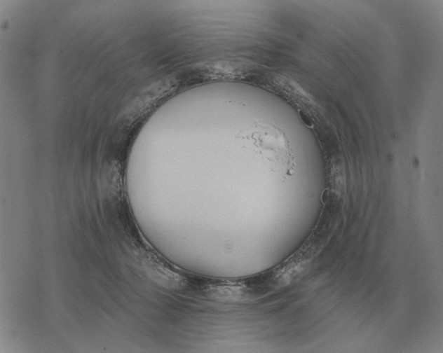 X0000070400318200606231809