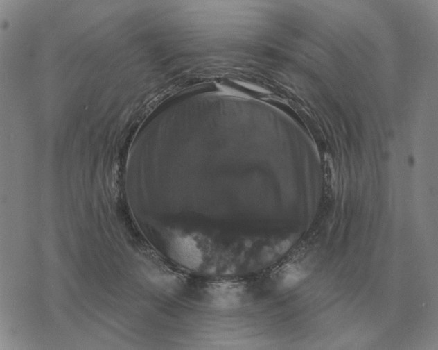 X0000070400319200606231809