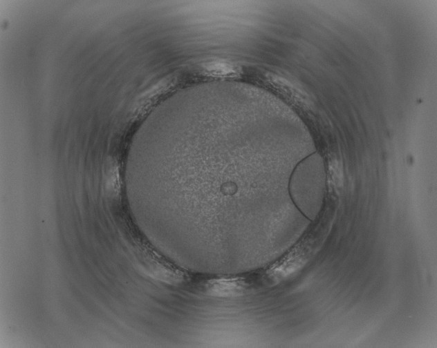 X0000070400320200606231809