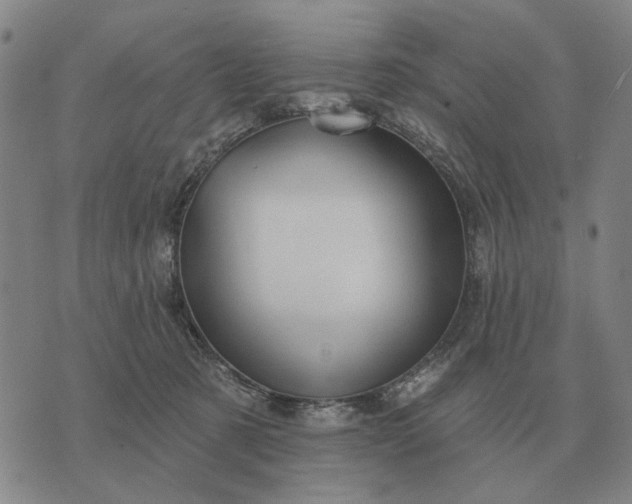 X0000070400321200606231809