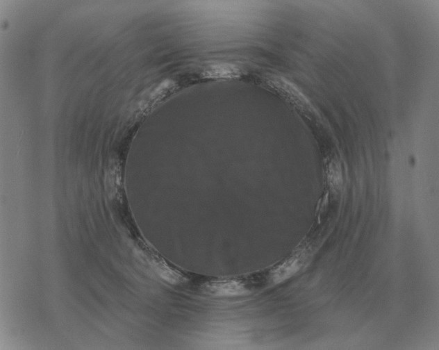 X0000070400322200606231809