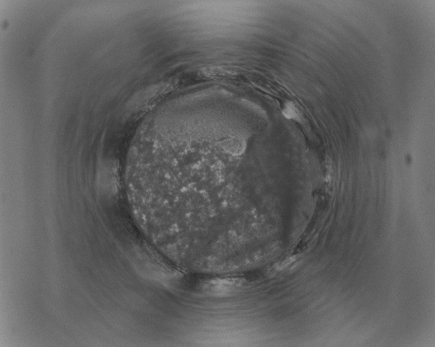 X0000070400323200606231809