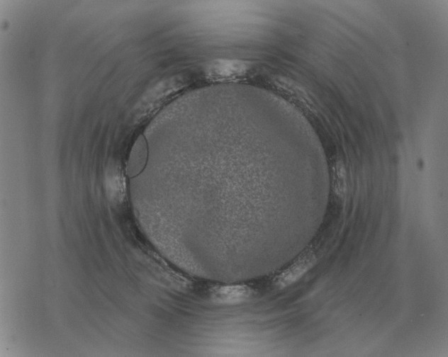 X0000070400324200606231809