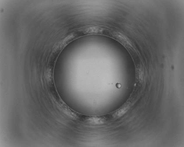 X0000070400326200606231809