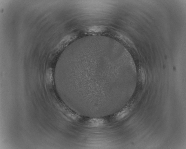 X0000070400328200606231809