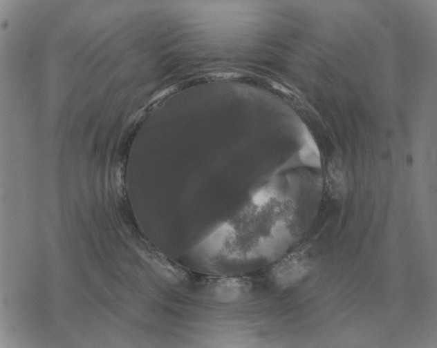 X0000070400330200606231809