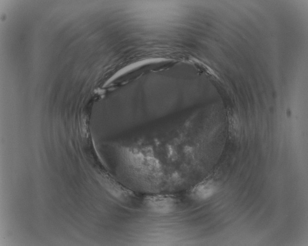 X0000070400331200606231809