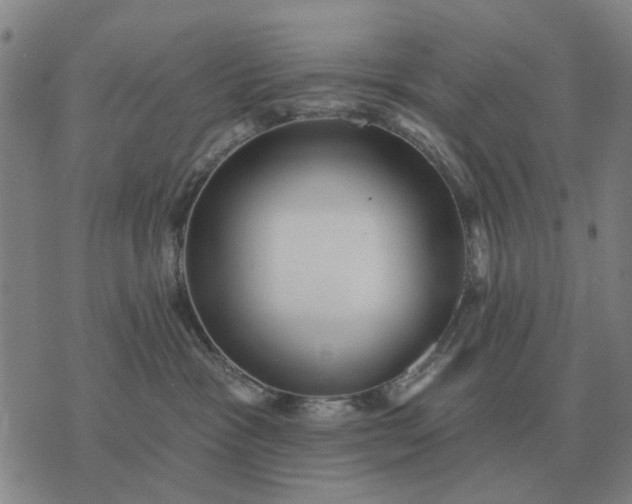 X0000070400333200606231809