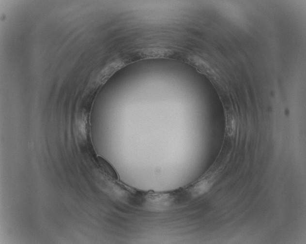 X0000070400334200606231809