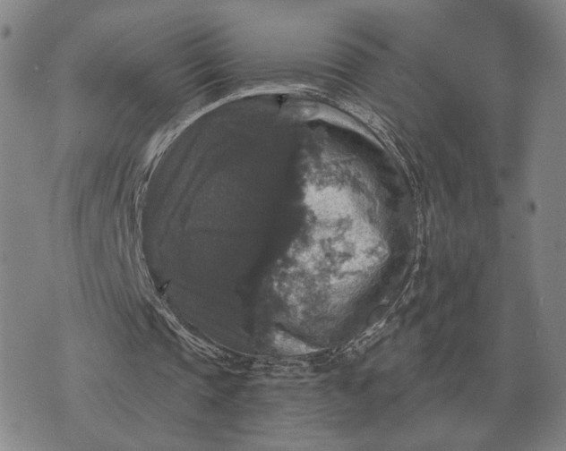 X0000070400337200606231808