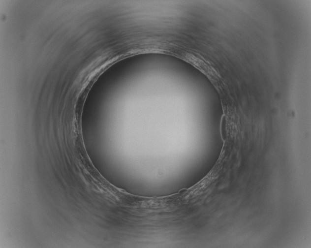 X0000070400338200606231808