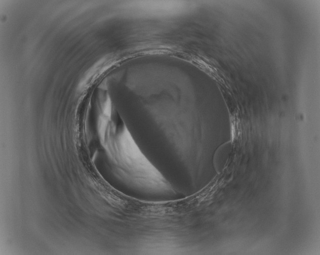 X0000070400339200606231808