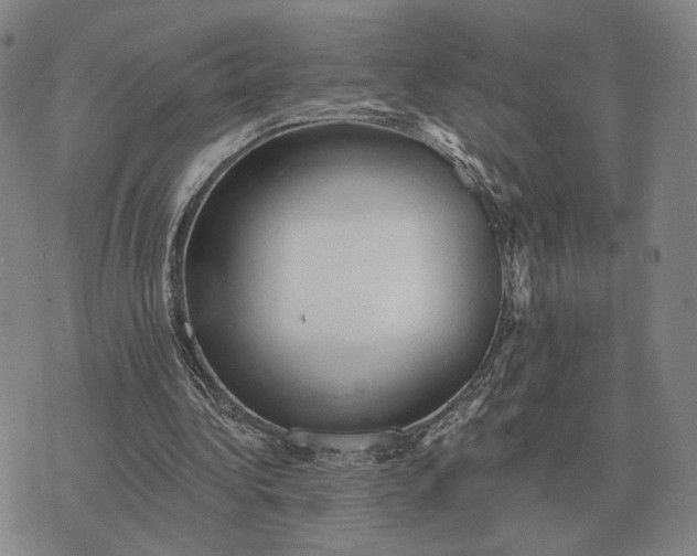 X0000070400340200606231808