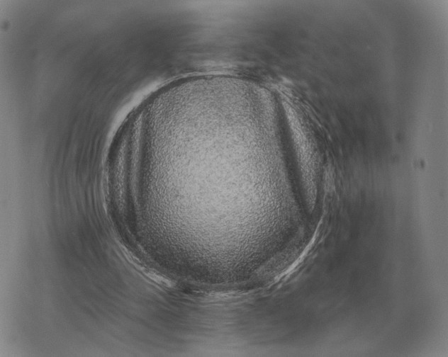 X0000070400342200606231808